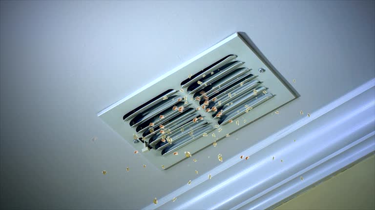 Best Affordable HVAC Duct Cleaning  in Marysville, KS